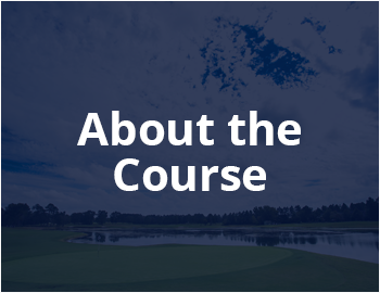 About the Course