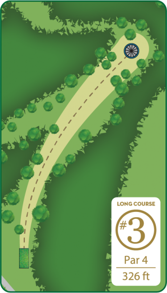 Disc Golf Long Course Hole 3