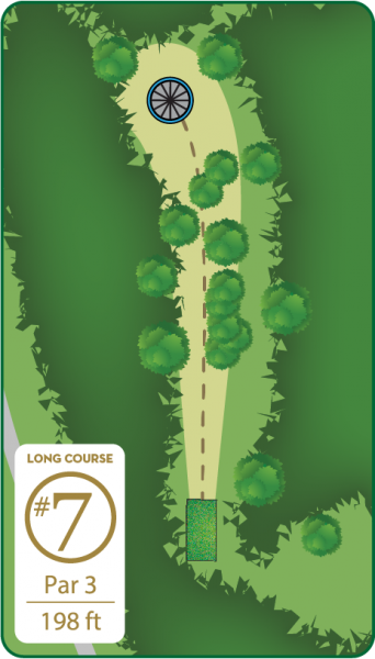 Disc Golf Long Course Hole 7