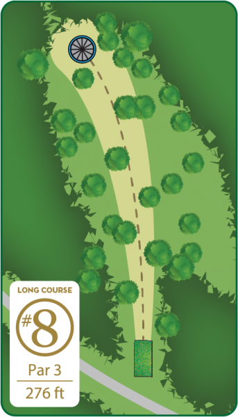 Disc Golf Long Course Hole 8